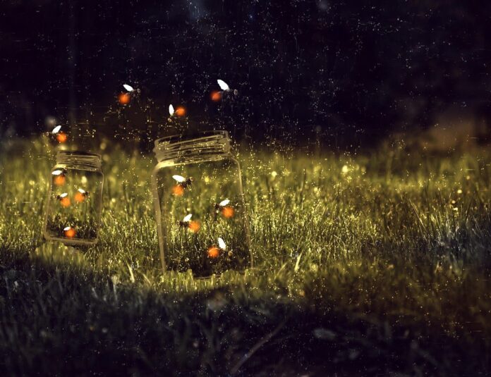 jar, fireflies, magical